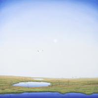pic/esileht/2026/flight_over_bog_001.jpg